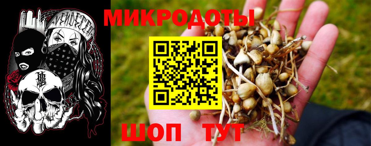 Псилоцибиновые грибы мухоморы Озёры