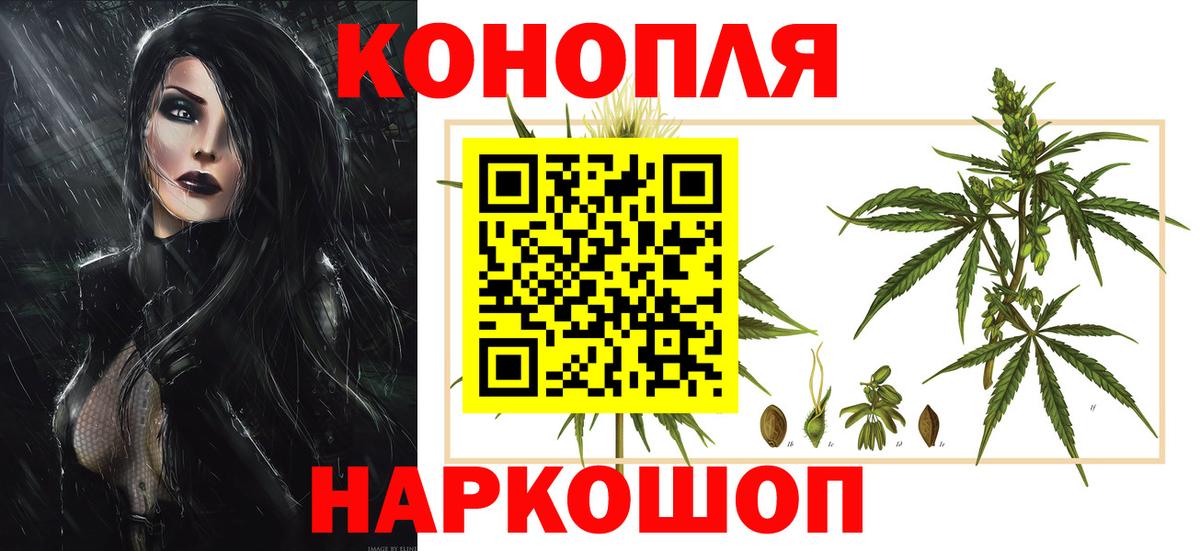 Бошки Шишки гибрид Озёры