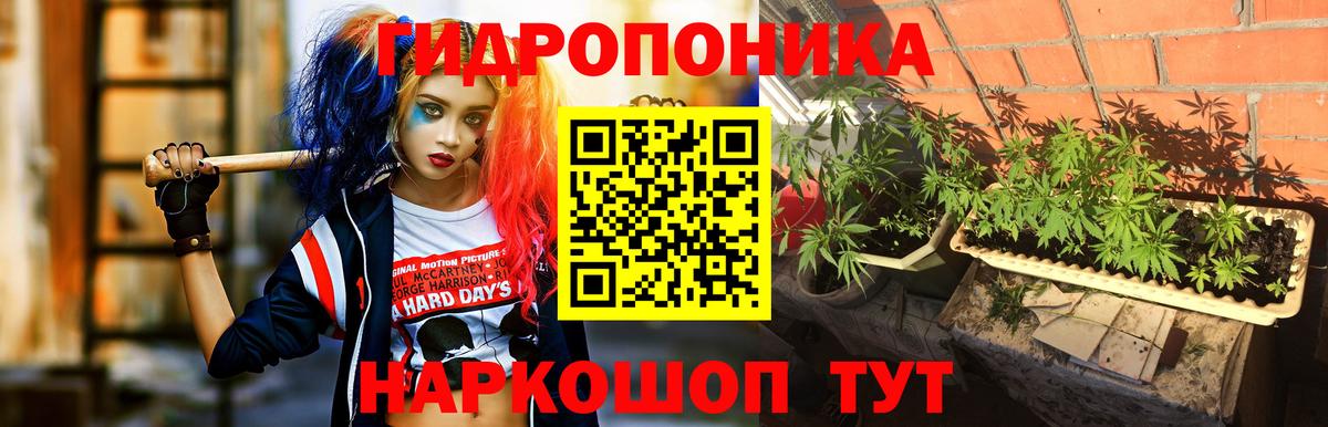 Бошки Шишки планчик  Конопля AK-47  Озёры  Бошки марихуана марихуана  Вход с VPN 